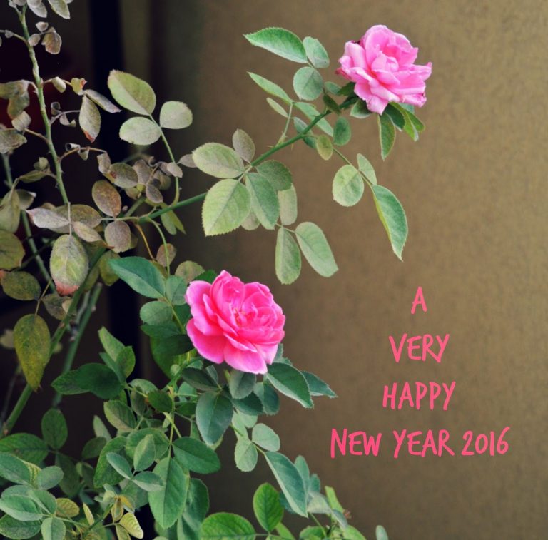 New Year Party Menu Ideas