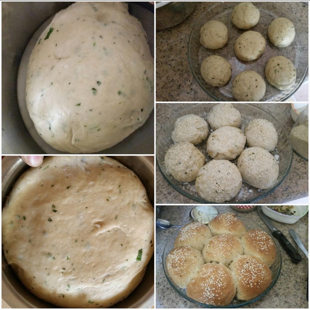 step by step instructions for bread rolls 