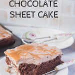 chocolate sheet cake pin