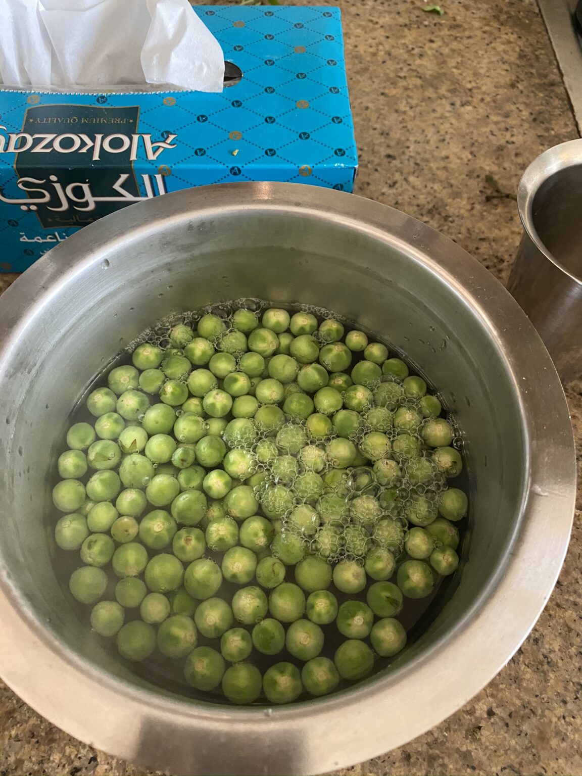 Neer Sundaikaai Fresh turkey berries in Brine I camp in my kitchen