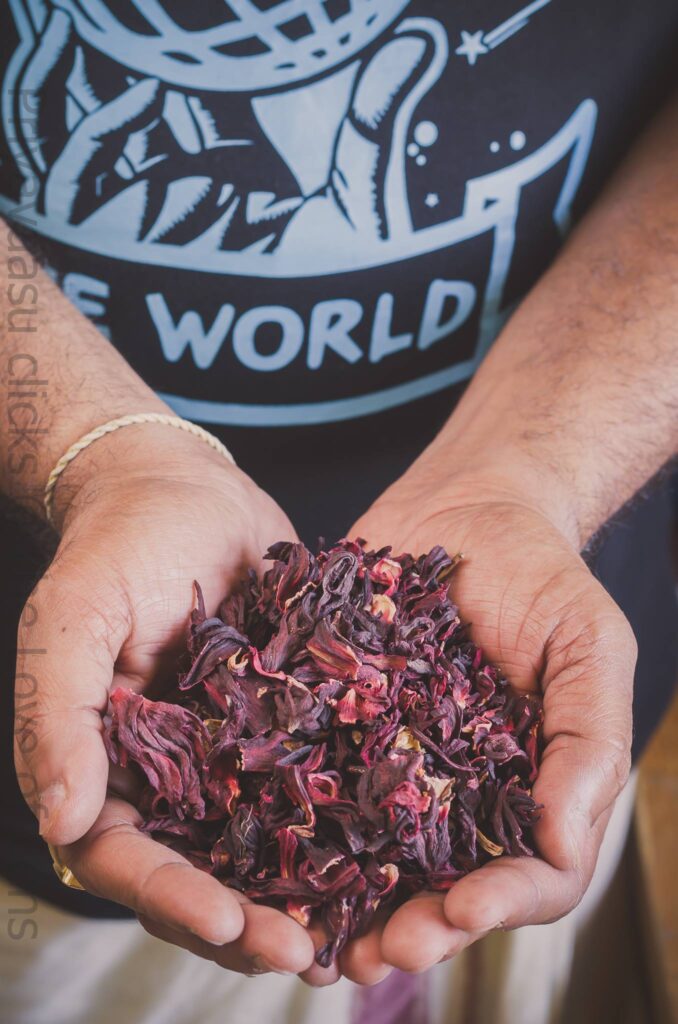 Dried hibiscus flowers 