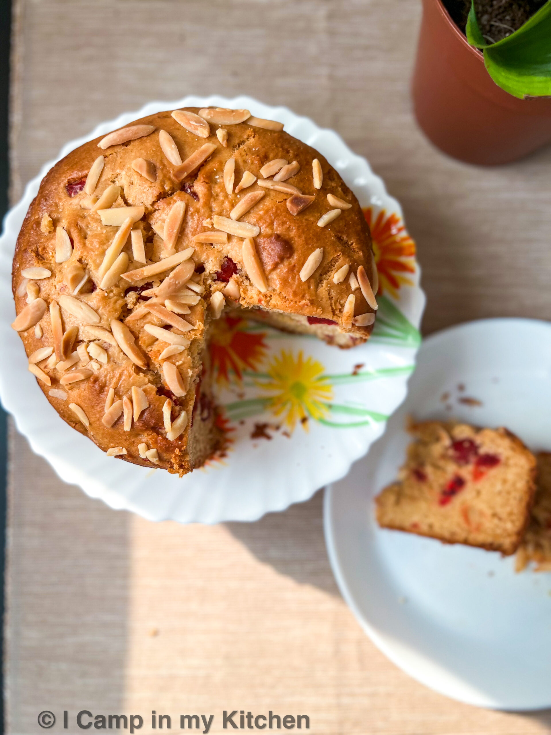 Condensed Milk Cake