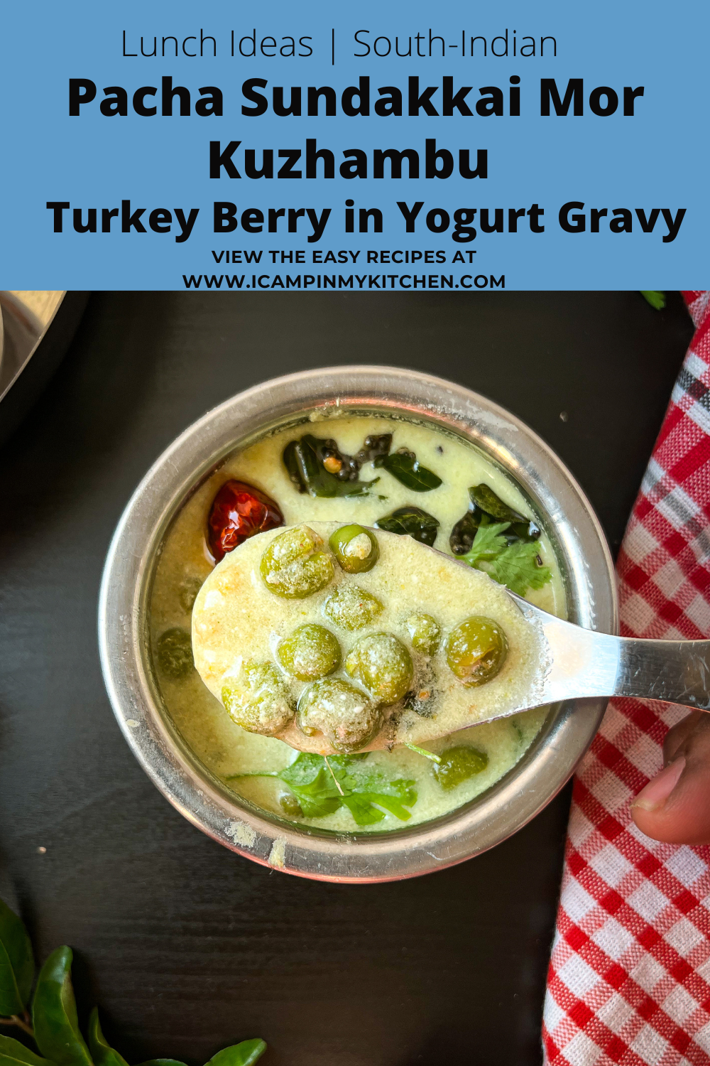 fresh turkey berry in yogurt gravy