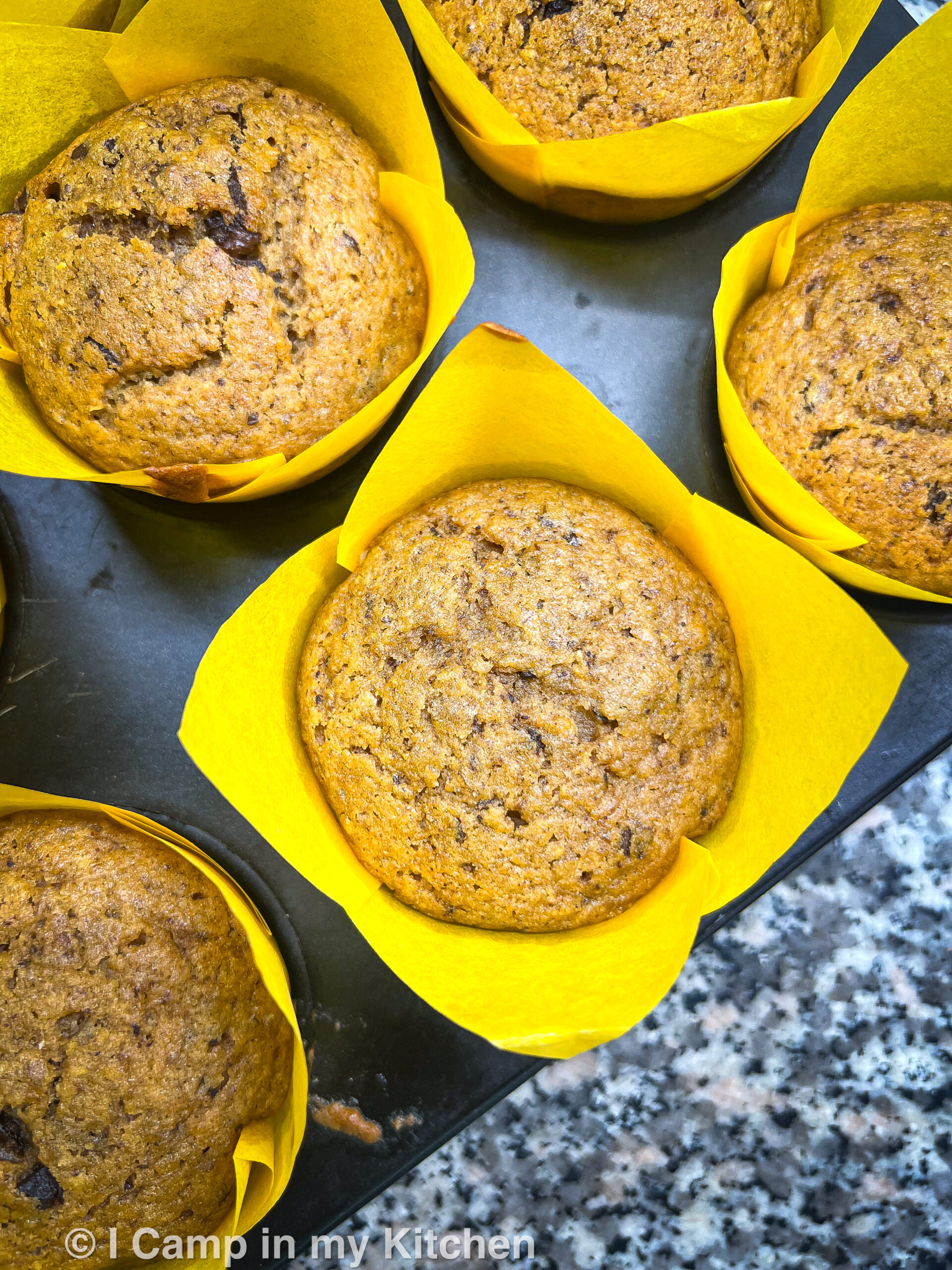 Vegan Chocolate pumpkin muffins 