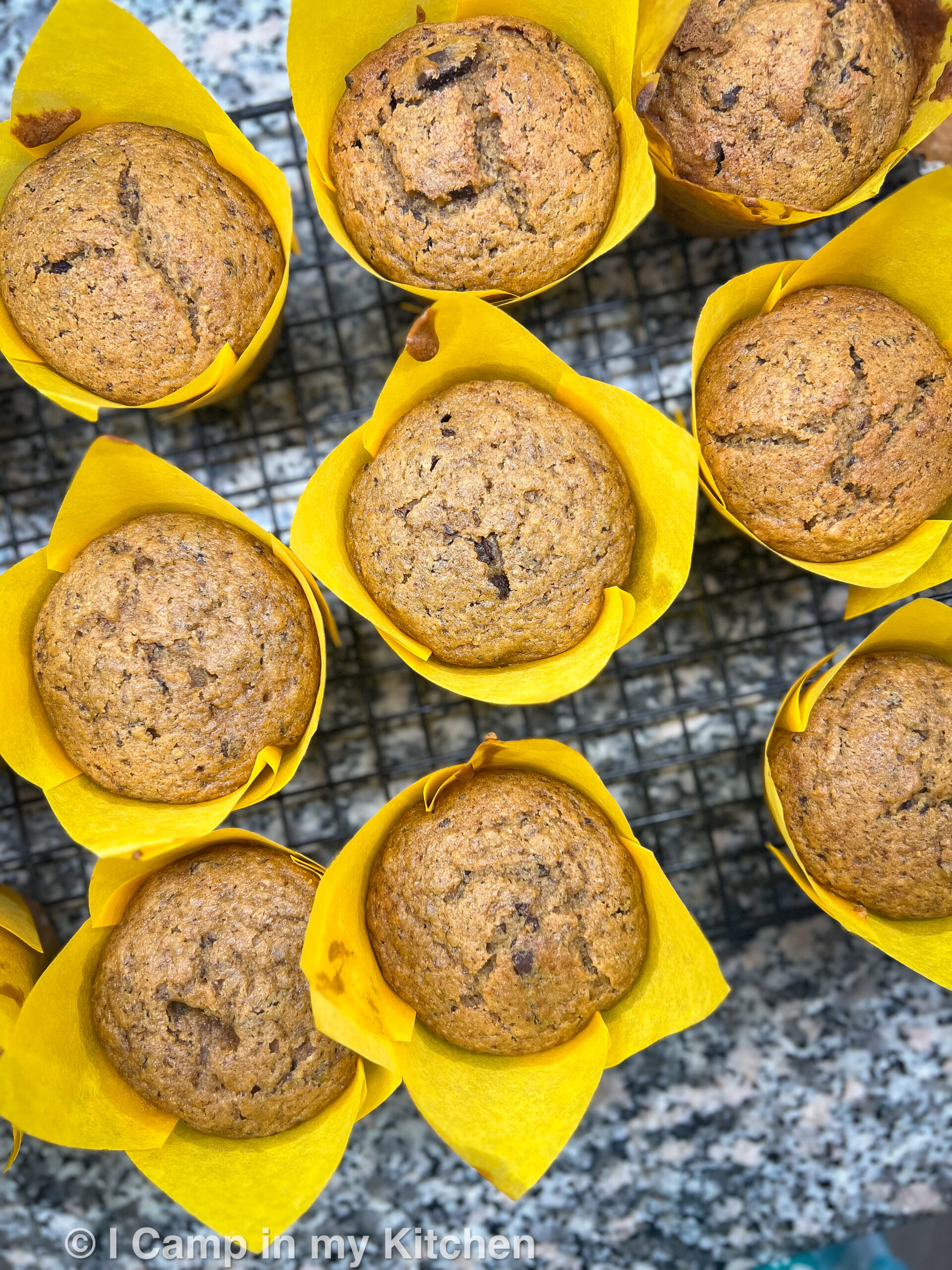 Vegan Pumpkin muffins with chocolate