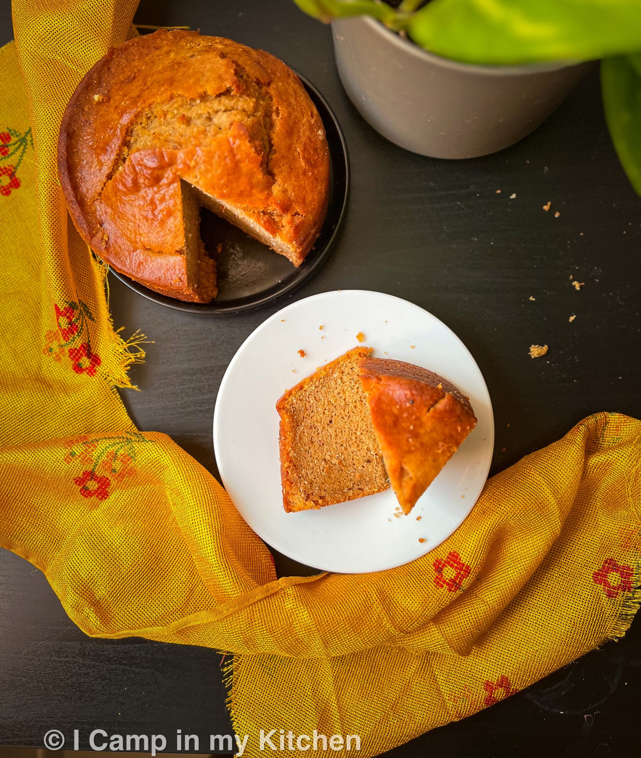 Coconut cake with pumpkin puree