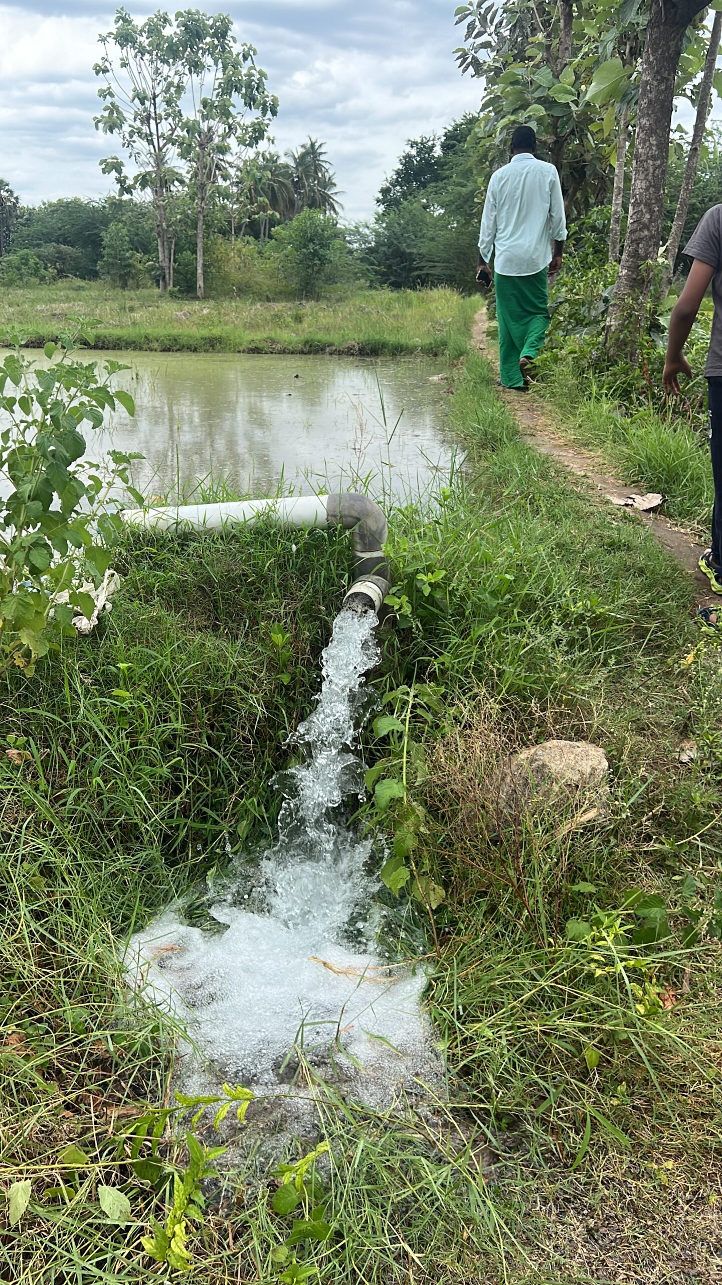 Amma village pumpset in the paddy field